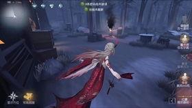 时光的双翼,探寻历史与未来的交织之旅